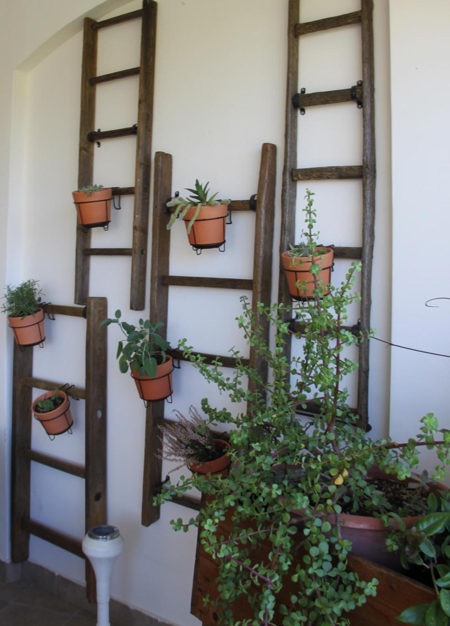 B&B San Lorenzo Bitonto Exterior foto